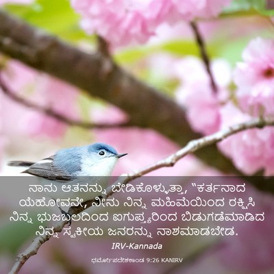 Picture 03 - ಧರ್ಮೋಪದೇಶಕಾಂಡ 9:26 KANIRV - ನಾನು ಆತನನ್ನು - Bible Verse Picture