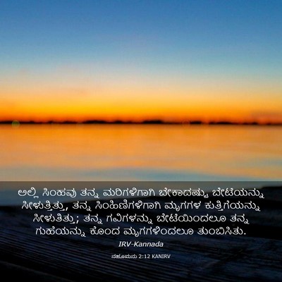 Picture 03 - ನಹೂಮನು 2:12 KANIRV - ಅಲ್ಲಿ ಸಿಂಹವು ತನ್ನ - Bible Verse Picture