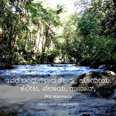 Picture 03 - ನೆಹೆಮೀಯನು 10:10 KANIRV - ಇವರ ಬಂಧುಗಳಾದ - Bible Verse Picture