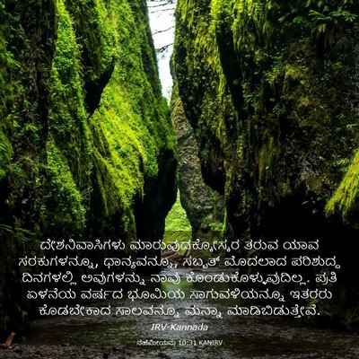 Picture 03 - ನೆಹೆಮೀಯನು 10:31 KANIRV - ದೇಶನಿವಾಸಿಗಳು - Bible Verse Picture