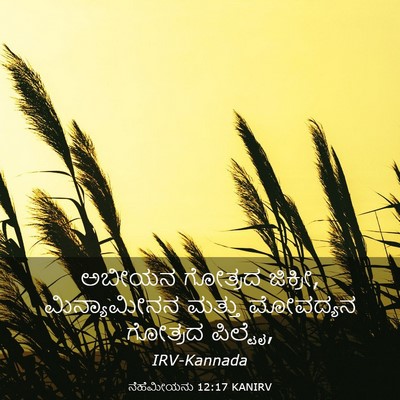 Picture 03 - ನೆಹೆಮೀಯನು 12:17 KANIRV - ಅಬೀಯನ ಗೋತ್ರದ - Bible Verse Picture