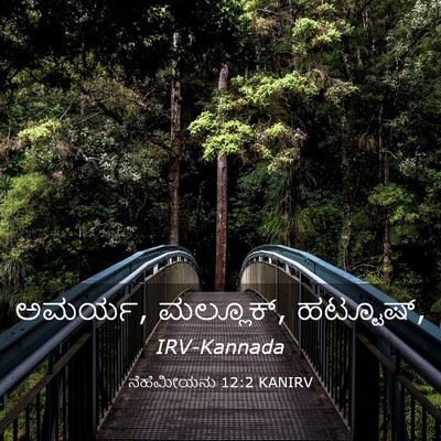 Picture 03 - ನೆಹೆಮೀಯನು 12:2 KANIRV - ಅಮರ್ಯ, ಮಲ್ಲೂಕ್, - Bible Verse Picture