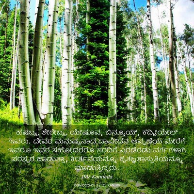 Picture 03 - ನೆಹೆಮೀಯನು 12:25 KANIRV - ಹಷಬ್ಯ, ಶೇರೇಬ್ಯ, - Bible Verse Picture