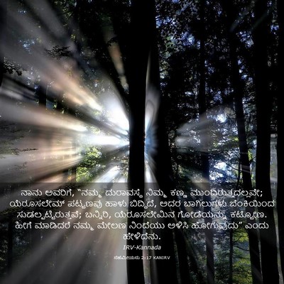 Picture 03 - ನೆಹೆಮೀಯನು 2:17 KANIRV - ನಾನು ಅವರಿಗೆ, “ನಮ್ಮ - Bible Verse Picture