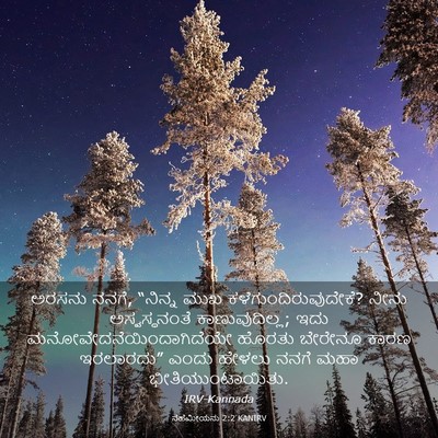 Picture 03 - ನೆಹೆಮೀಯನು 2:2 KANIRV - ಅರಸನು ನನಗೆ, “ನಿನ್ನ - Bible Verse Picture
