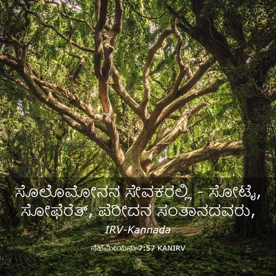 Picture 03 - ನೆಹೆಮೀಯನು 7:57 KANIRV - ಸೊಲೊಮೋನನ - Bible Verse Picture