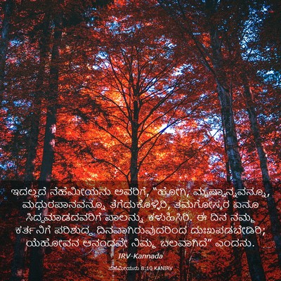 Picture 03 - ನೆಹೆಮೀಯನು 8:10 KANIRV - ಇದಲ್ಲದೆ ನೆಹೆಮೀಯನು - Bible Verse Picture