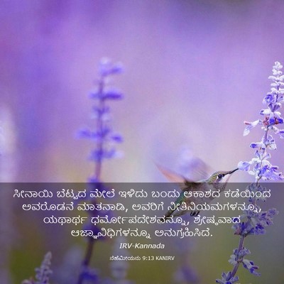Picture 03 - ನೆಹೆಮೀಯನು 9:13 KANIRV - ಸೀನಾಯಿ ಬೆಟ್ಟದ - Bible Verse Picture