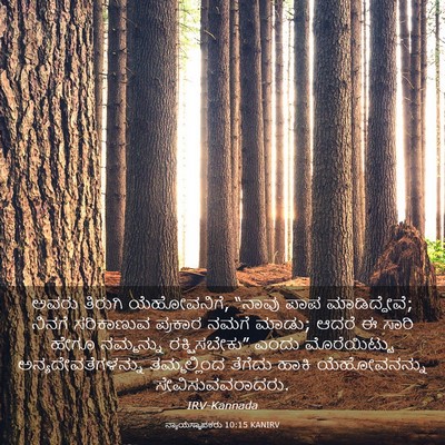 Picture 03 - ನ್ಯಾಯಸ್ಥಾಪಕರು 10:15 KANIRV - ಅವರು ತಿರುಗಿ - Bible Verse Picture