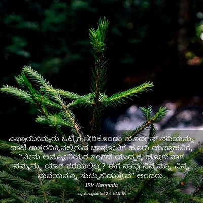 Picture 03 - ನ್ಯಾಯಸ್ಥಾಪಕರು 12:1 KANIRV - ಎಫ್ರಾಯೀಮ್ಯರು - Bible Verse Picture