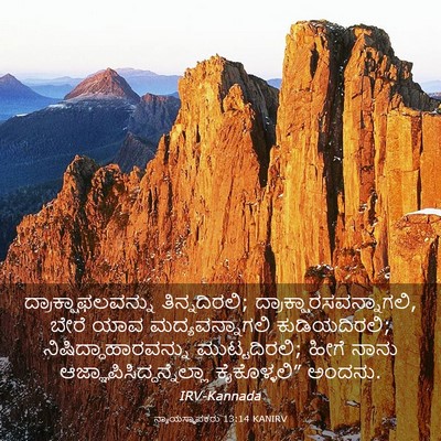 Picture 03 - ನ್ಯಾಯಸ್ಥಾಪಕರು 13:14 KANIRV - ದ್ರಾಕ್ಷಾಫಲವನ್ನು - Bible Verse Picture