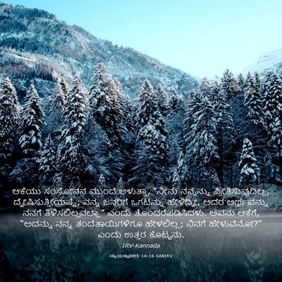 Picture 03 - ನ್ಯಾಯಸ್ಥಾಪಕರು 14:16 KANIRV - ಆಕೆಯು ಸಂಸೋನನ - Bible Verse Picture