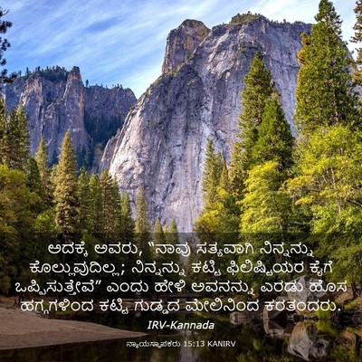 Picture 03 - ನ್ಯಾಯಸ್ಥಾಪಕರು 15:13 KANIRV - ಅದಕ್ಕೆ ಅವರು, “ನಾವು - Bible Verse Picture