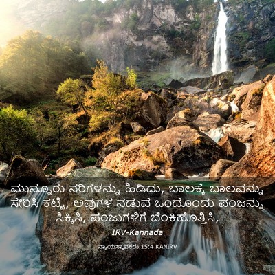 Picture 03 - ನ್ಯಾಯಸ್ಥಾಪಕರು 15:4 KANIRV - ಮುನ್ನೂರು - Bible Verse Picture