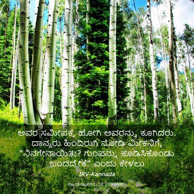 Picture 03 - ನ್ಯಾಯಸ್ಥಾಪಕರು 18:23 KANIRV - ಅವರ ಸಮೀಪಕ್ಕೆ ಹೋಗಿ - Bible Verse Picture