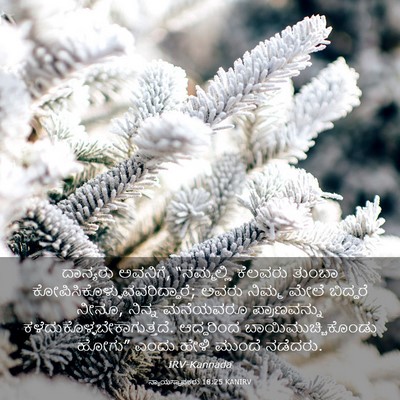 Picture 03 - ನ್ಯಾಯಸ್ಥಾಪಕರು 18:25 KANIRV - ದಾನ್ಯರು ಅವನಿಗೆ, - Bible Verse Picture