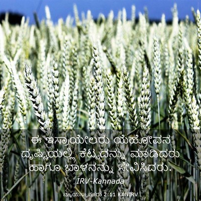 Picture 03 - ನ್ಯಾಯಸ್ಥಾಪಕರು 2:11 KANIRV - ಈ ಇಸ್ರಾಯೇಲರು - Bible Verse Picture