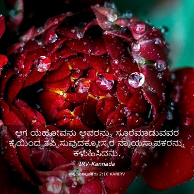 Picture 03 - ನ್ಯಾಯಸ್ಥಾಪಕರು 2:16 KANIRV - ಆಗ ಯೆಹೋವನು - Bible Verse Picture
