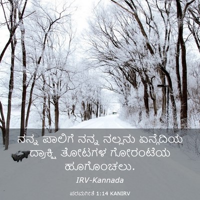 Picture 03 - ಪರಮಗೀತೆ 1:14 KANIRV - ನನ್ನ ಪಾಲಿಗೆ ನನ್ನ - Bible Verse Picture