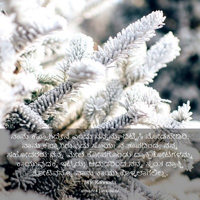 Picture 03 - ಪರಮಗೀತೆ 1:6 KANIRV - ನಾನು - Bible Verse Picture