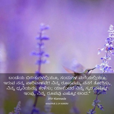 Picture 03 - ಪರಮಗೀತೆ 2:14 KANIRV - ಬಂಡೆಯ - Bible Verse Picture