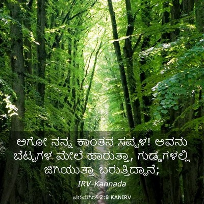 Picture 03 - ಪರಮಗೀತೆ 2:8 KANIRV - ಅಗೋ ನನ್ನ ಕಾಂತನ - Bible Verse Picture