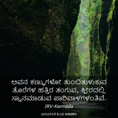 Picture 03 - ಪರಮಗೀತೆ 5:12 KANIRV - ಅವನ ಕಣ್ಣುಗಳೋ - Bible Verse Picture