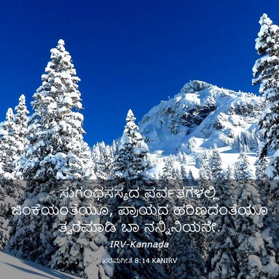 Picture 03 - ಪರಮಗೀತೆ 8:14 KANIRV - ಸುಗಂಧಸಸ್ಯದ - Bible Verse Picture