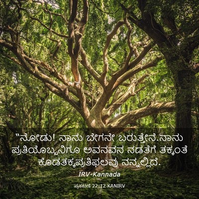 Picture 03 - ಪ್ರಕಟಣೆ 22:12 KANIRV - “ನೋಡು! ನಾನು ಬೇಗನೇ - Bible Verse Picture
