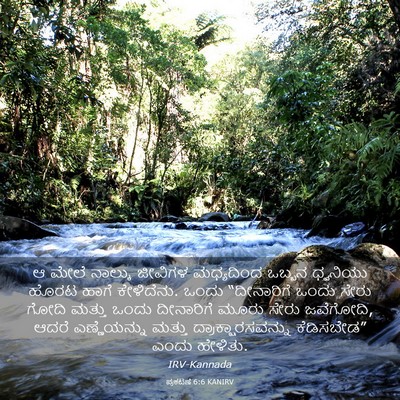 Picture 03 - ಪ್ರಕಟಣೆ 6:6 KANIRV - ಆ ಮೇಲೆ ನಾಲ್ಕು - Bible Verse Picture