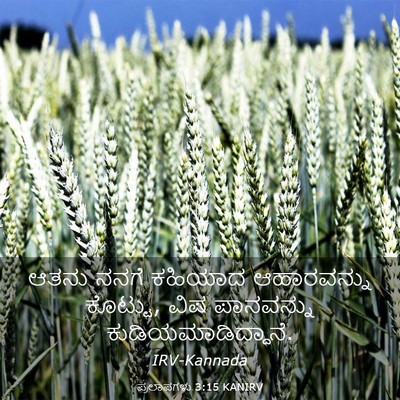 Picture 03 - ಪ್ರಲಾಪಗಳು 3:15 KANIRV - ಆತನು ನನಗೆ ಕಹಿಯಾದ - Bible Verse Picture