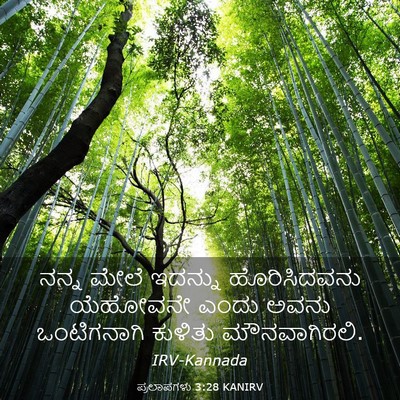 Picture 03 - ಪ್ರಲಾಪಗಳು 3:28 KANIRV - ನನ್ನ ಮೇಲೆ ಇದನ್ನು - Bible Verse Picture