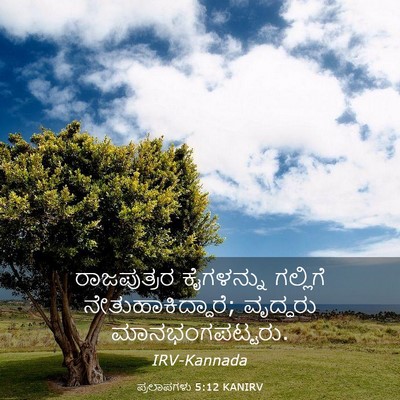 Picture 03 - ಪ್ರಲಾಪಗಳು 5:12 KANIRV - ರಾಜಪುತ್ರರ - Bible Verse Picture