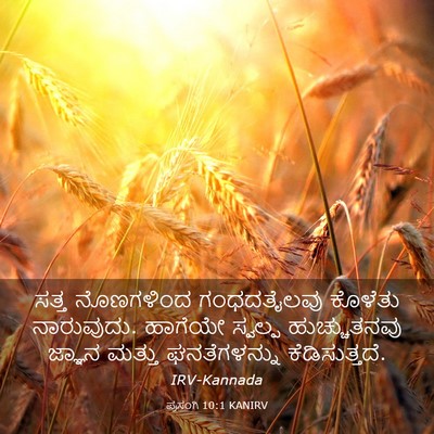 Picture 03 - ಪ್ರಸಂಗಿ 10:1 KANIRV - ಸತ್ತ ನೊಣಗಳಿಂದ - Bible Verse Picture