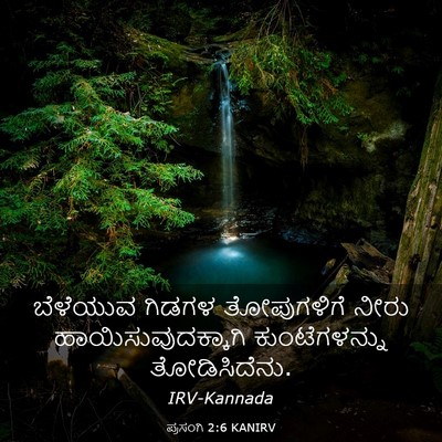 Picture 03 - ಪ್ರಸಂಗಿ 2:6 KANIRV - ಬೆಳೆಯುವ ಗಿಡಗಳ - Bible Verse Picture