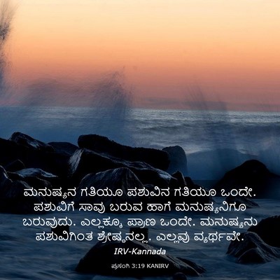 Picture 03 - ಪ್ರಸಂಗಿ 3:19 KANIRV - ಮನುಷ್ಯನ ಗತಿಯೂ - Bible Verse Picture
