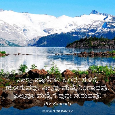 Picture 03 - ಪ್ರಸಂಗಿ 3:20 KANIRV - ಎಲ್ಲಾ ಪ್ರಾಣಿಗಳು - Bible Verse Picture