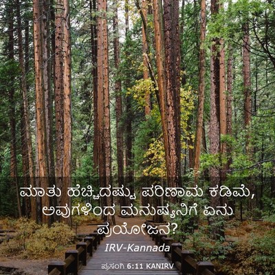 Picture 03 - ಪ್ರಸಂಗಿ 6:11 KANIRV - ಮಾತು ಹೆಚ್ಚಿದಷ್ಟು - Bible Verse Picture