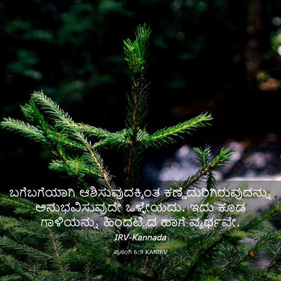 Picture 03 - ಪ್ರಸಂಗಿ 6:9 KANIRV - ಬಗೆಬಗೆಯಾಗಿ - Bible Verse Picture