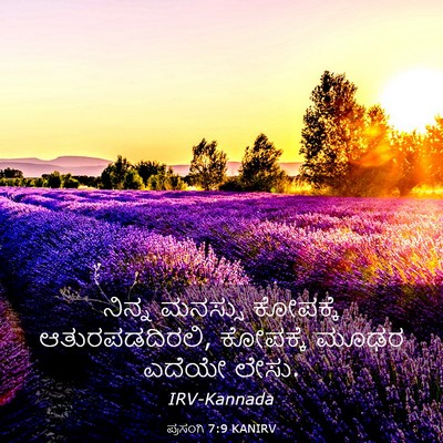 Picture 03 - ಪ್ರಸಂಗಿ 7:9 KANIRV - ನಿನ್ನ ಮನಸ್ಸು - Bible Verse Picture