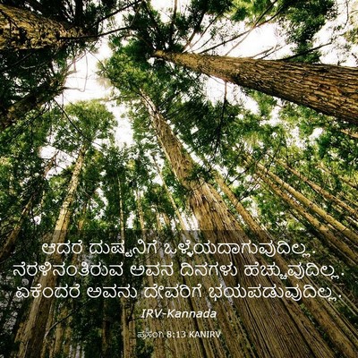 Picture 03 - ಪ್ರಸಂಗಿ 8:13 KANIRV - ಆದರೆ ದುಷ್ಟನಿಗೆ - Bible Verse Picture