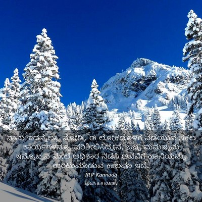 Picture 03 - ಪ್ರಸಂಗಿ 8:9 KANIRV - ನಾನು ಇದನ್ನೆಲ್ಲಾ - Bible Verse Picture