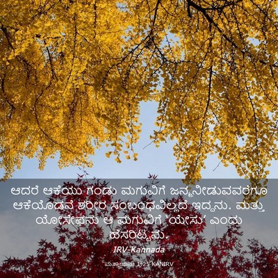 Picture 03 - ಮತ್ತಾಯನು 1:25 KANIRV - ಆದರೆ ಆಕೆಯು ಗಂಡು - Bible Verse Picture