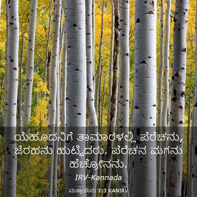 Picture 03 - ಮತ್ತಾಯನು 1:3 KANIRV - ಯೆಹೂದನಿಗೆ - Bible Verse Picture