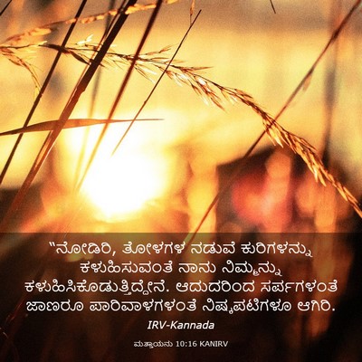 Picture 03 - ಮತ್ತಾಯನು 10:16 KANIRV - “ನೋಡಿರಿ, ತೋಳಗಳ - Bible Verse Picture