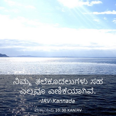 Picture 03 - ಮತ್ತಾಯನು 10:30 KANIRV - ನಿಮ್ಮ ತಲೆಕೂದಲುಗಳು - Bible Verse Picture