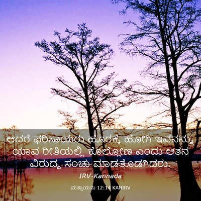 Picture 03 - ಮತ್ತಾಯನು 12:14 KANIRV - ಆದರೆ ಫರಿಸಾಯರು - Bible Verse Picture