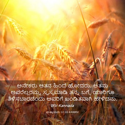 Picture 03 - ಮತ್ತಾಯನು 12:16 KANIRV - ಅನೇಕರು ಆತನ ಹಿಂದೆ - Bible Verse Picture