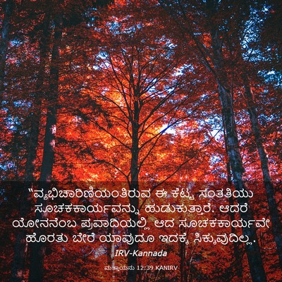 Picture 03 - ಮತ್ತಾಯನು 12:39 KANIRV -  - Bible Verse Picture
