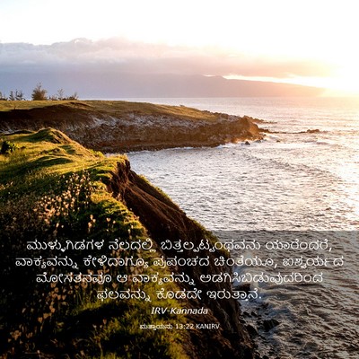 Picture 03 - ಮತ್ತಾಯನು 13:22 KANIRV - ಮುಳ್ಳುಗಿಡಗಳ - Bible Verse Picture